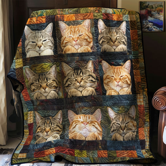 Sweet Cats Wrap WN2208016CL Quilt