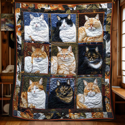 Sweet Slumbers Cats WN1508089CL Quilt