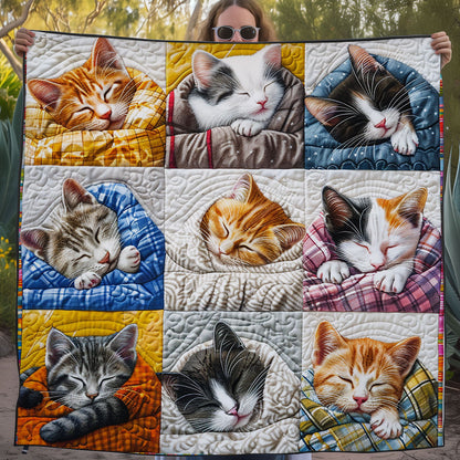 Sleeping Cozy Cat WG1408001CL Quilt