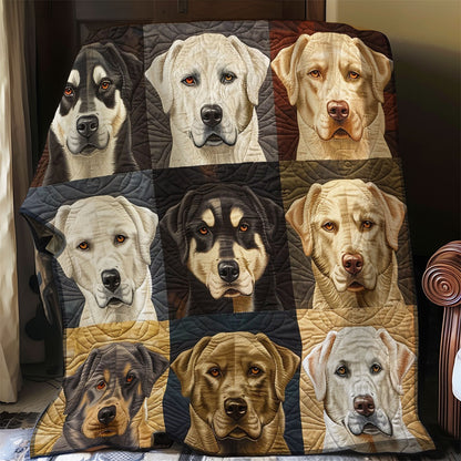 Husky Dogs WO0808022CL Quilt