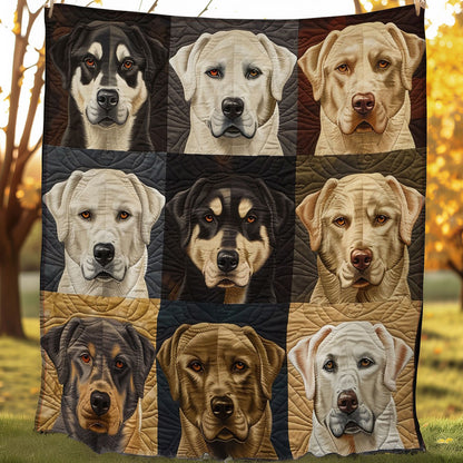 Husky Dogs WO0808022CL Quilt