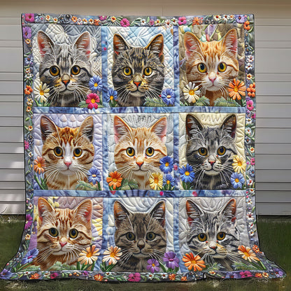 Cute Tabby Cats XR1908004CL Quilt