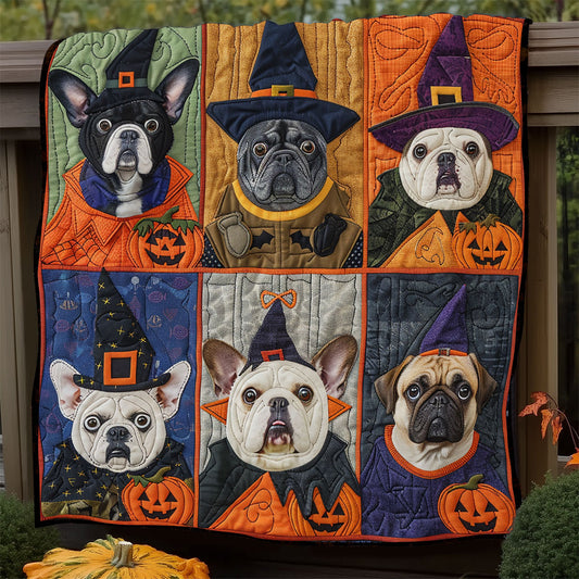 Witchy Paws XR1908037CL Quilt