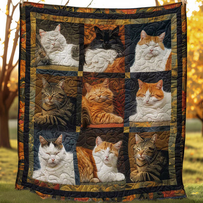 Blissful Naps Cats WN1508041CL Quilt