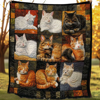 Calm Dreams Cats WN1508080CL Quilt