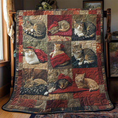 Cat Sleeping SR2208026CL Quilt