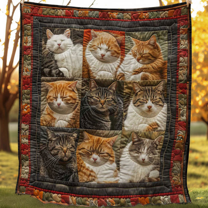 Catnap Haven WN1508024CL Quilt