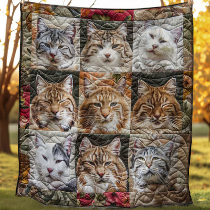 Cats Nap Haven WN2108130CL Quilt