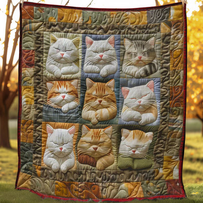 Charming Cats Comforter WN2108034CL Quilt