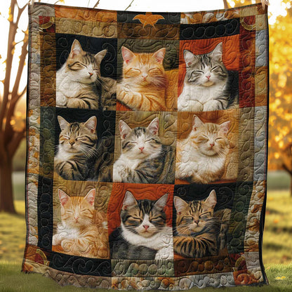 Chilled Cats WN1508038CL Quilt