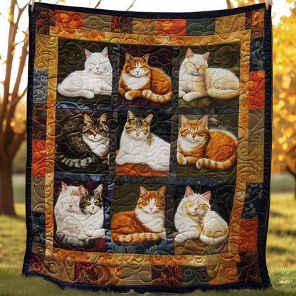 Cuddly Cats WN2108021CL Quilt