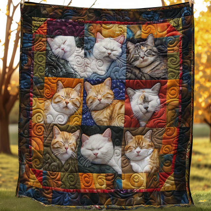 Drowsy Cats WN2108032CL Quilt