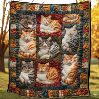 Furry Cats WN2108033CL Quilt