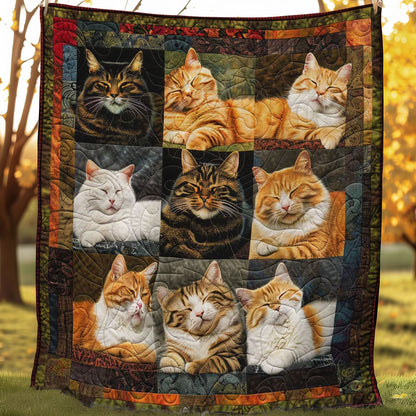 Gentle Dreams Cats WN1508037CL Quilt