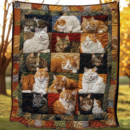 Lazy Cat WN2108019CL Quilt