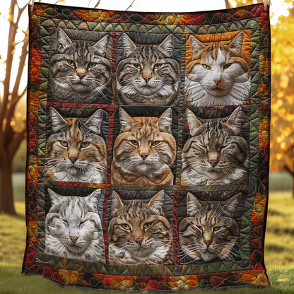 Lazy Cats Lounge WN2108129CL Quilt