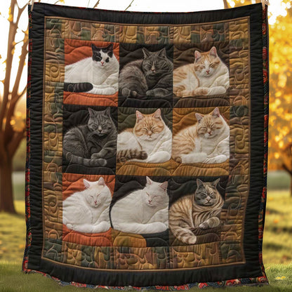 Napping Cats WN1508035CL Quilt