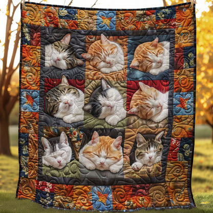 Quiet Cats WN2108026CL Quilt