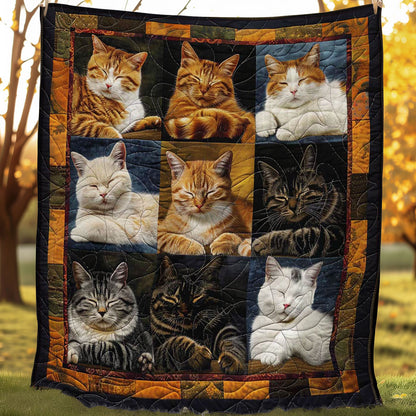 Serene Slumbers Cats WN1508042CL Quilt