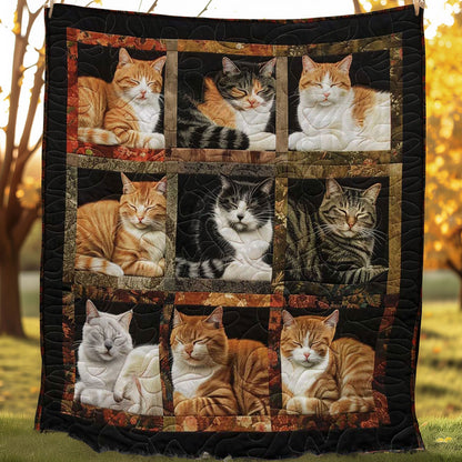 Snoozy Snuggles Cats WN1508084CL Quilt