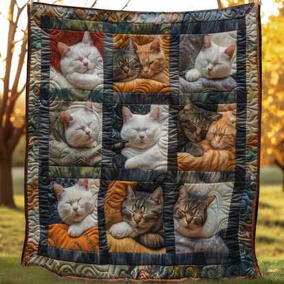 Soft Cats WN1508026CL Quilt