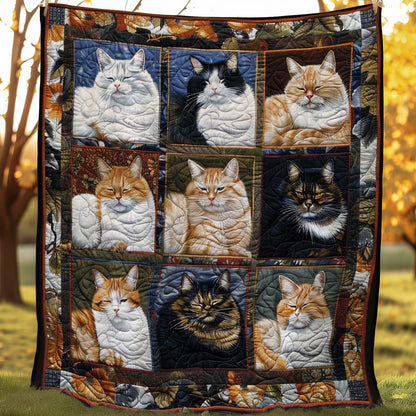 Sweet Slumbers Cats WN1508089CL Quilt