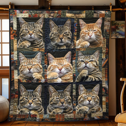 Crossed Paws Cats WN2208038CL Quilt
