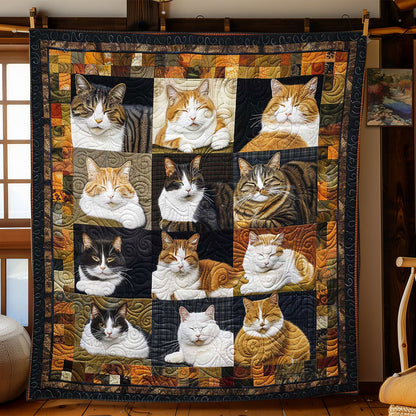 Dreamy Cuddles Cats WN1508085CL Quilt