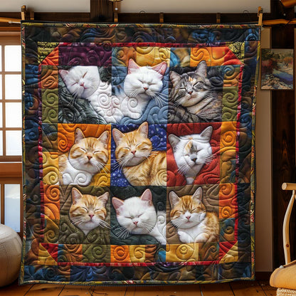 Drowsy Cats WN2108032CL Quilt