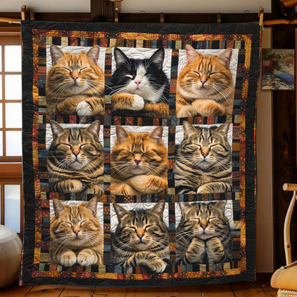 Fluffy Cats WN2208018CL Quilt