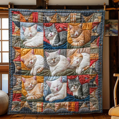 Gentle Cats Comforter WN2108024CL Quilt