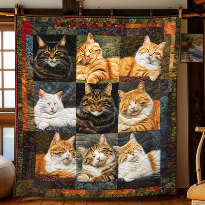 Gentle Dreams Cats WN1508037CL Quilt