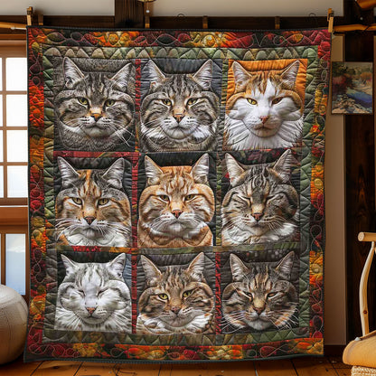 Lazy Cats Lounge WN2108129CL Quilt