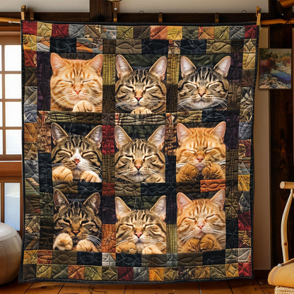 Naptime Cuddle WN2208023CL Quilt