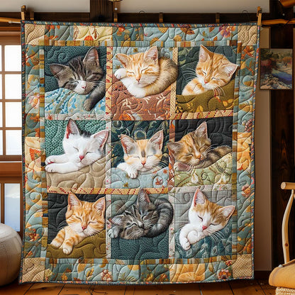 Sleepy Cat Blanket WN2108002CL Quilt