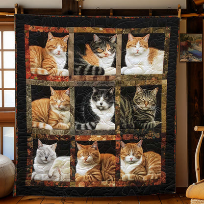 Snoozy Snuggles Cats WN1508084CL Quilt