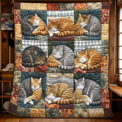 Cat Dream Quilt WN2108003CL Quilt