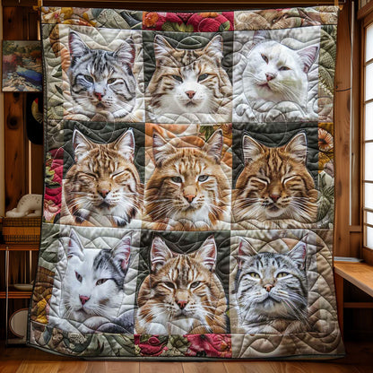 Cats Nap Haven WN2108130CL Quilt