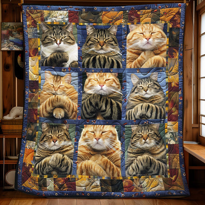 Cozy Naps WN2208034CL Quilt