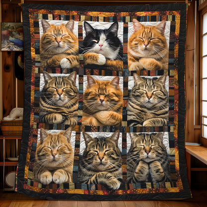 Fluffy Cats WN2208018CL Quilt