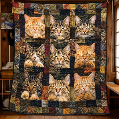 Naptime Cuddle WN2208023CL Quilt