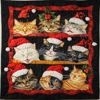 Sleeping Christmas Cat WJ1608022CL Quilt