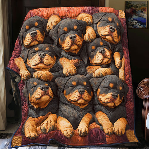 Cozy Rott CP0807035CL Quilt