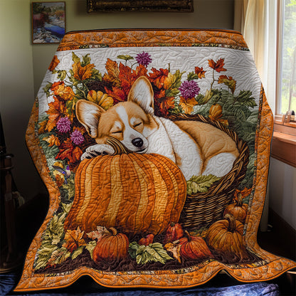 Corgi Thanksgiving WY1911081CL Quilt