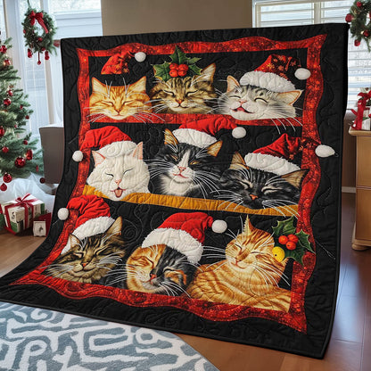 Sleeping Christmas Cat WJ1608022CL Quilt