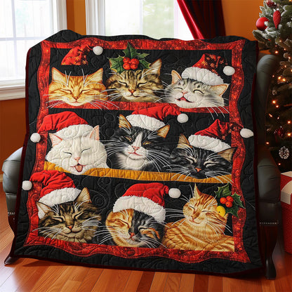 Sleeping Christmas Cat WJ1608022CL Quilt