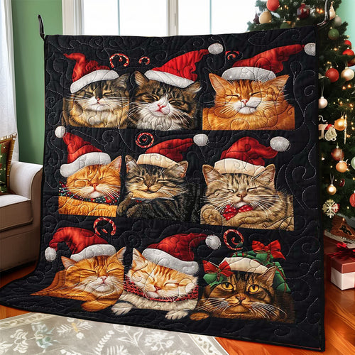 Sleeping Christmas Cat WJ1608023CL Quilt