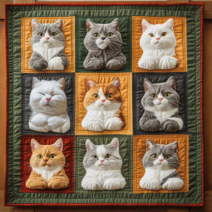 Feline Faces WN2910023CL Quilt
