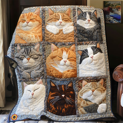 Royal Cat Sleeping YR2512050CL Quilt