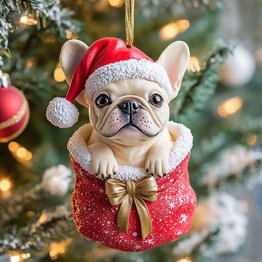 Festive Paws CP1510021CL Christmas Ornament